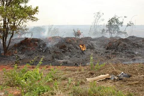 Brush fire breaks out in Northwest Brasilia Stock Photos