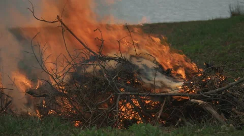 Brush Fire Burning Close Up. Video stock 62792636