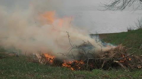 Brush Fire Burning. Stock Footage 62792624