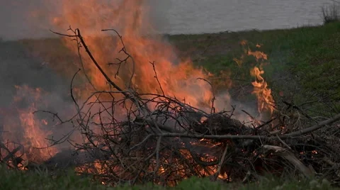 Brush Fire Burning in Slow Motion. Stock Footage 62791495
