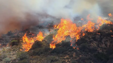 BRUSH FIRE CLOSE-UP Vidéo 22997715