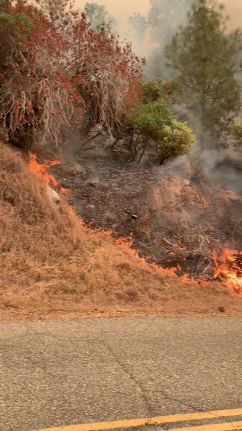 Brush fire with engine working hard Video stock 140446133