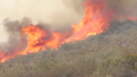 Brush fire flames spread fast uphill in heavy winds Stock Footage 219303675