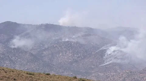 Brush Fire Video stock 11046848