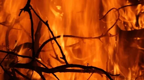 BRUSH FIRE Stock Footage 41720872