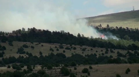 Brush Fire Stock Footage 54754714