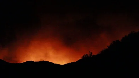 Brush fire Stock Footage 109203956