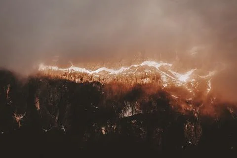 Brush fire in the forest Stock Photos