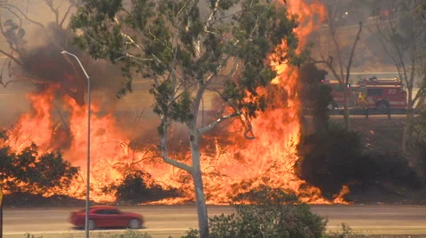 Brush Fire Los Angeles Stock Footage