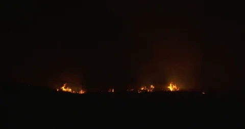 Brush Fire at Night Video stock 73242713