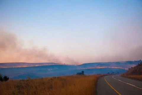 Brush fire Stock Photos