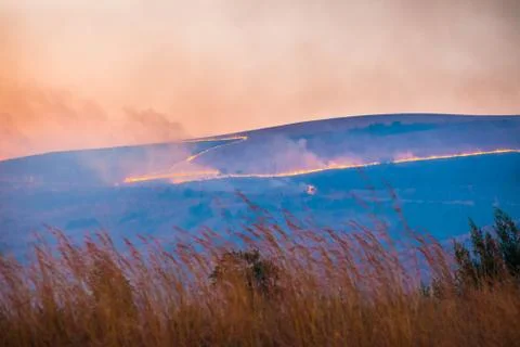 Brush fire Stock Photos