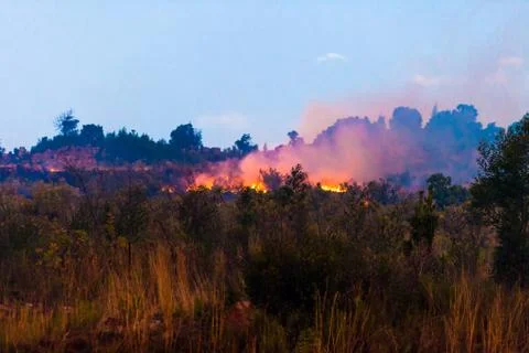 Brush fire Stock Photos