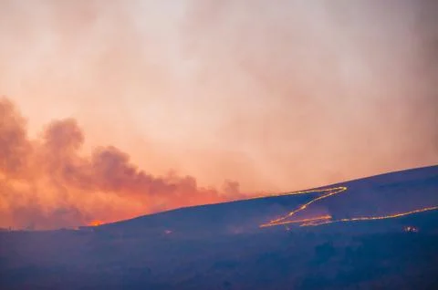 Brush fire Stock Photos