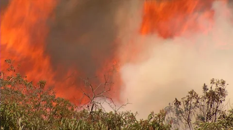 Brush Fire w/ Large Flames Stock Footage 28043457