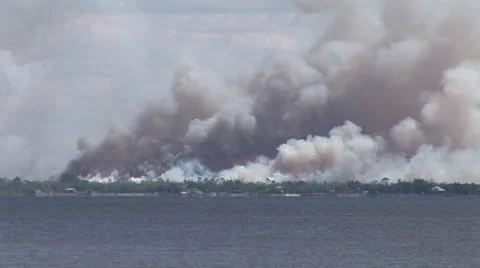 Brush Fires Video stock 12626808