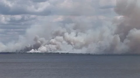 Brush Fires Stock Footage 12626824