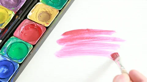 Brush Stock Footage 663867