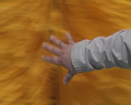 Brush Stock Footage 6703377