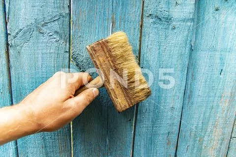 Brush in hand - painting a wooden fence. Stock Photos
