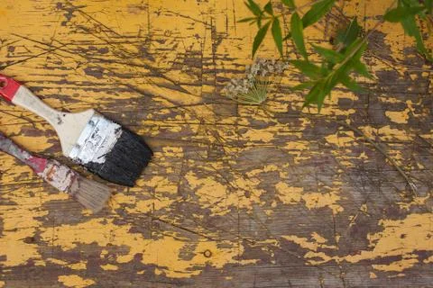 Brush on the old board Stock Photos
