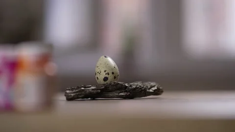 Brush paints an Easter egg green during holiday preparations at home Video stock 150663800