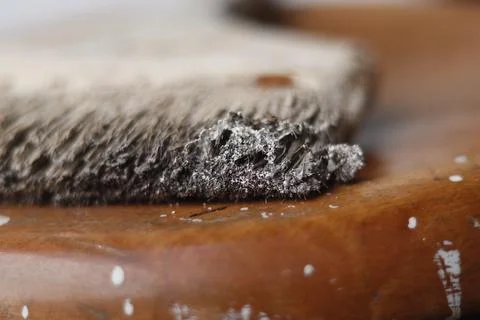 Brush   Stock Photos