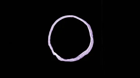 Brush ring on black background Stock Footage 55287970