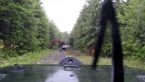 Brush saw on logging road Stock Footage 172454731