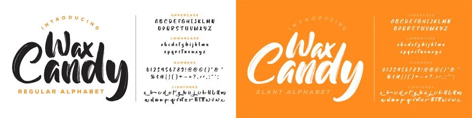 Brush Script Vector Font Brushstroke Alphabet Stockillustratie