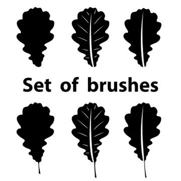 Brush set of oak leaf Stock Illustration