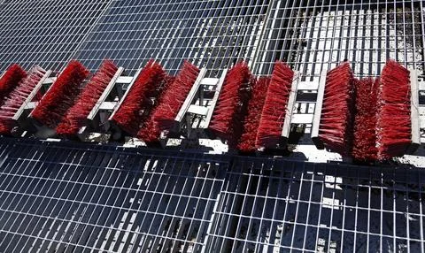 Brush off shoes in a row with this solution Foto stock