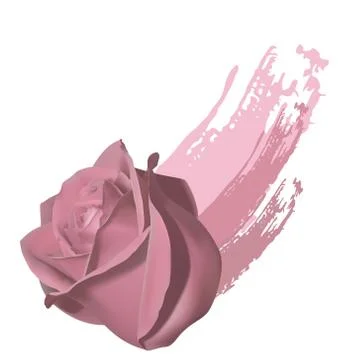 A brush stroke and rose Stock Illustration