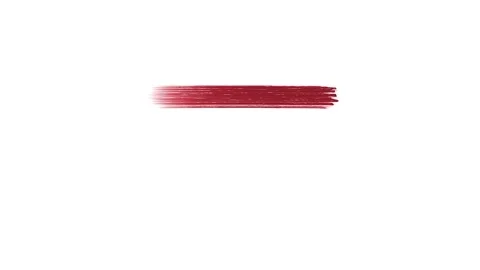 A brush stroke of the equal sign Stock Footage 335975011
