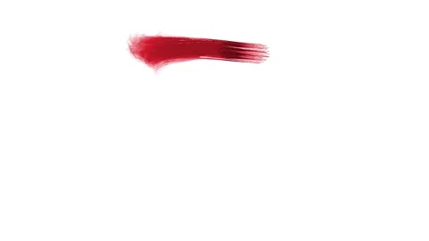 A brush stroke of the letter Z Stock Footage 335974967