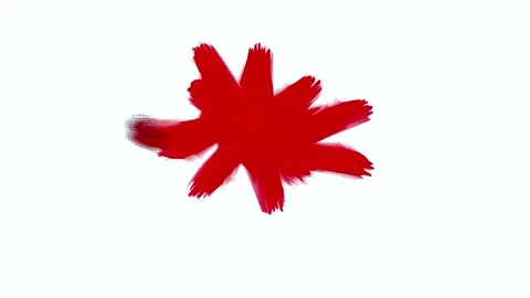 A brush stroke of a solid star Stock Footage 335975168