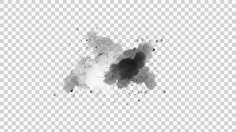 Brush Stroke Splash Paint Brush Stroke Stock Illustration