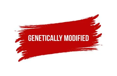 Brush style Genetically Modified red banner design isolated on white backgr.. Stock Illustration