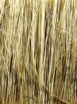 Brush suitable for pattern and background Foto stock