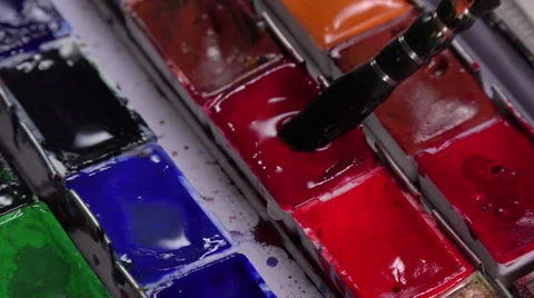 Brush taking watercolor in palette Stock Footage 54108317