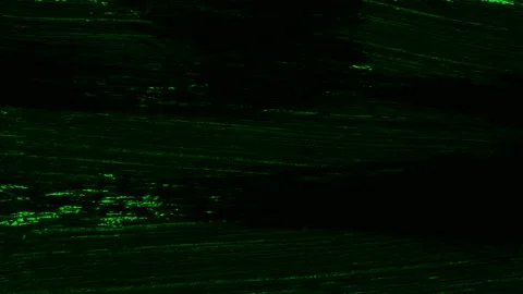 Brush Transitions Green Screen Vidéo 224405498