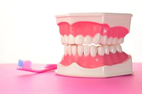 Brush You Teeth Stock Photos