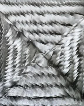 Brushed Metal Pattern Stock Photos