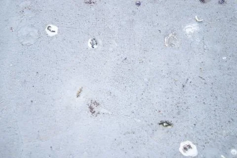 Brushed white wall texture - dirty background Stock Photos