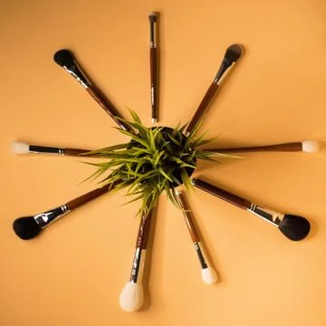 Brushes and grass background Stock Photos