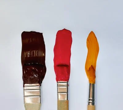 Brushes with paint on a white background Stock Photos