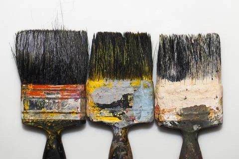 Brushes in paints on a white background 写真素材