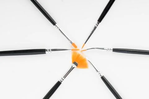 Brushes for varnish Foto stock