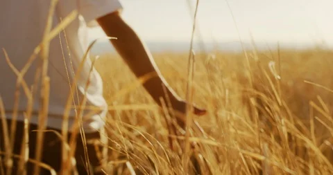 Brushing gold Stock Footage 101395381