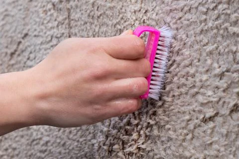 Brushing a light-colored carpet with detergent Stock Photos